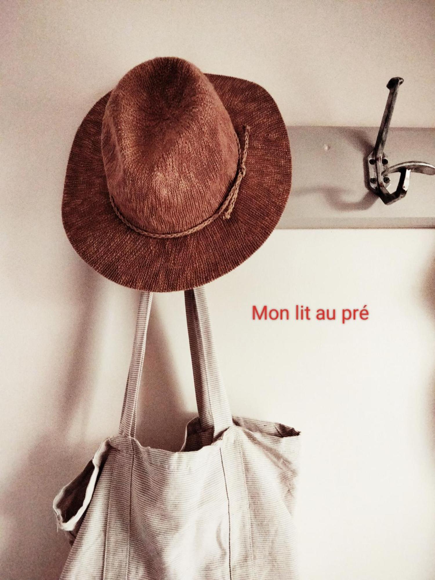 Chambre Familiale Anna "Mon Lit Au Pre" , Jusqu'A 4 Adultes Et 2 Enfants Avec Piscine Familles, Couples Ou Femmes Seulement Pontours Exterior photo